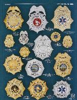eagle top and shield fire badges in rhodium and gold plate, firefighter, paramedic, battalion chief, chief, assistant chief